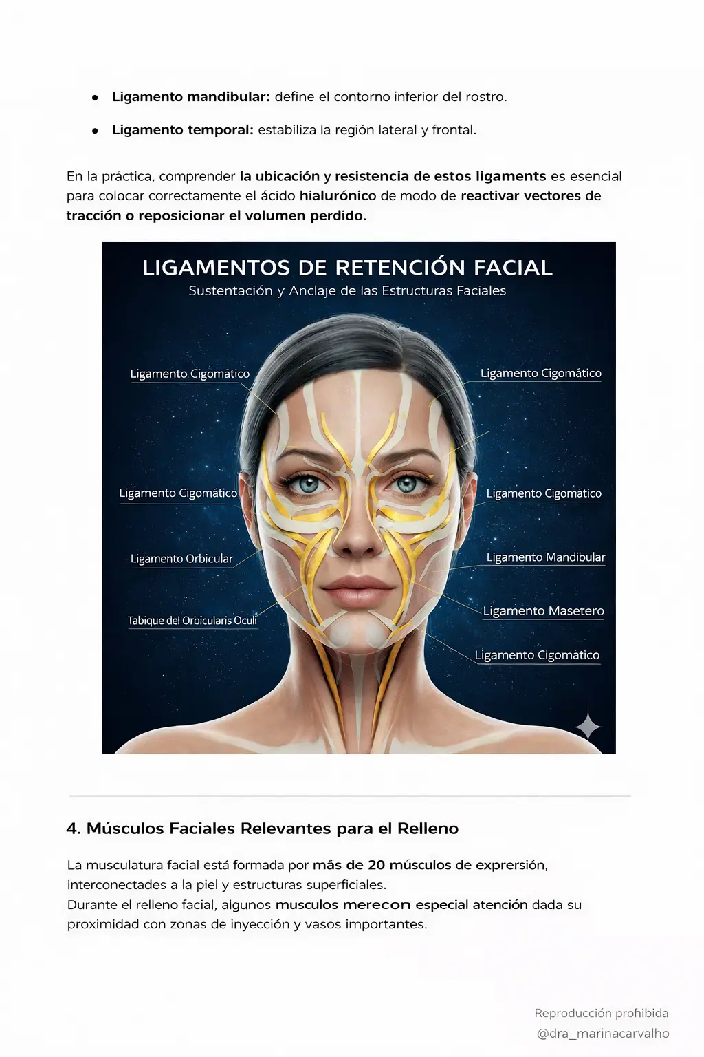 Guía de estudio página 2