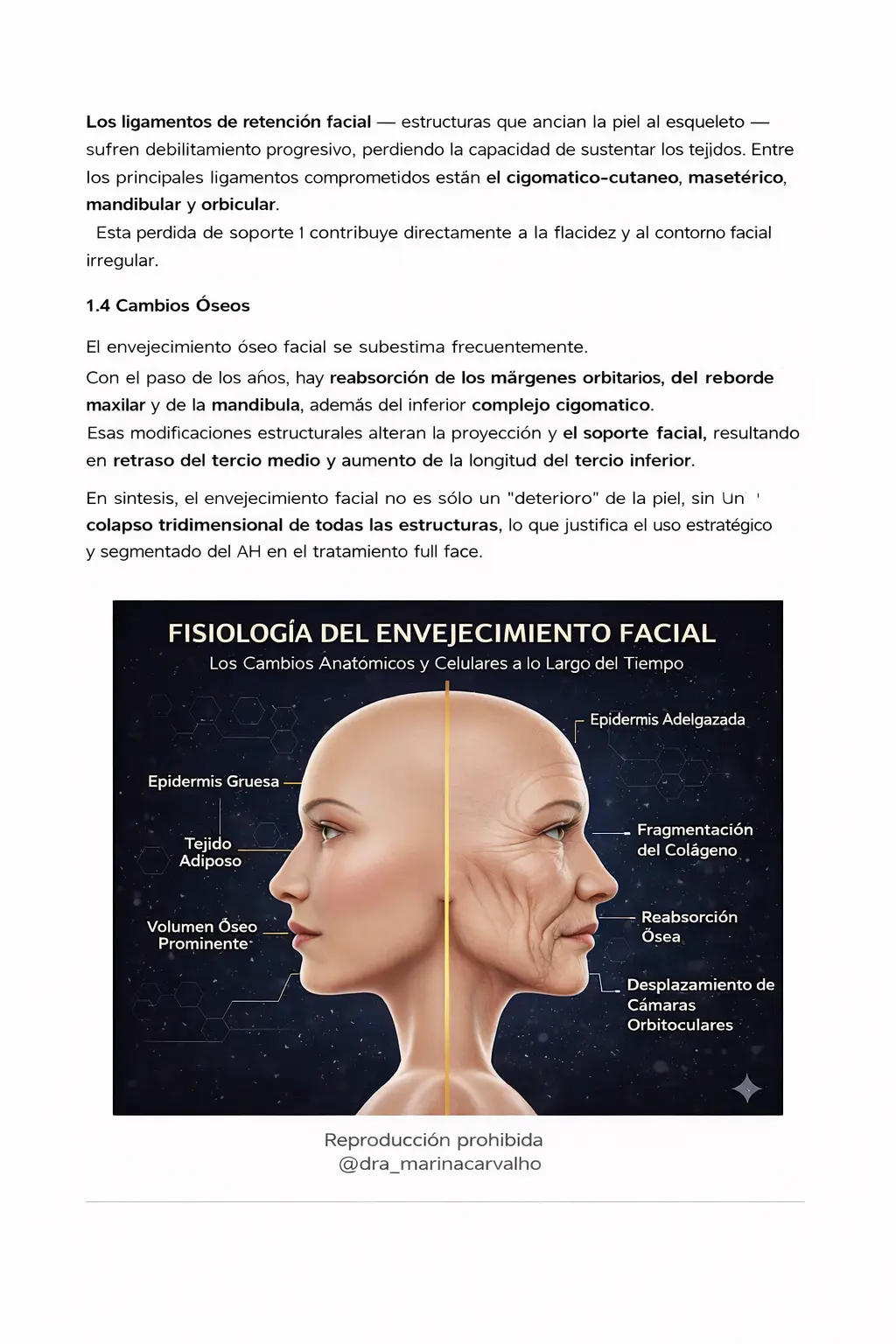 Guía de estudio página 3